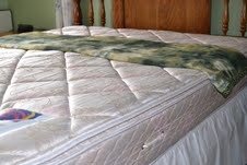 Best Mattress Reviews1